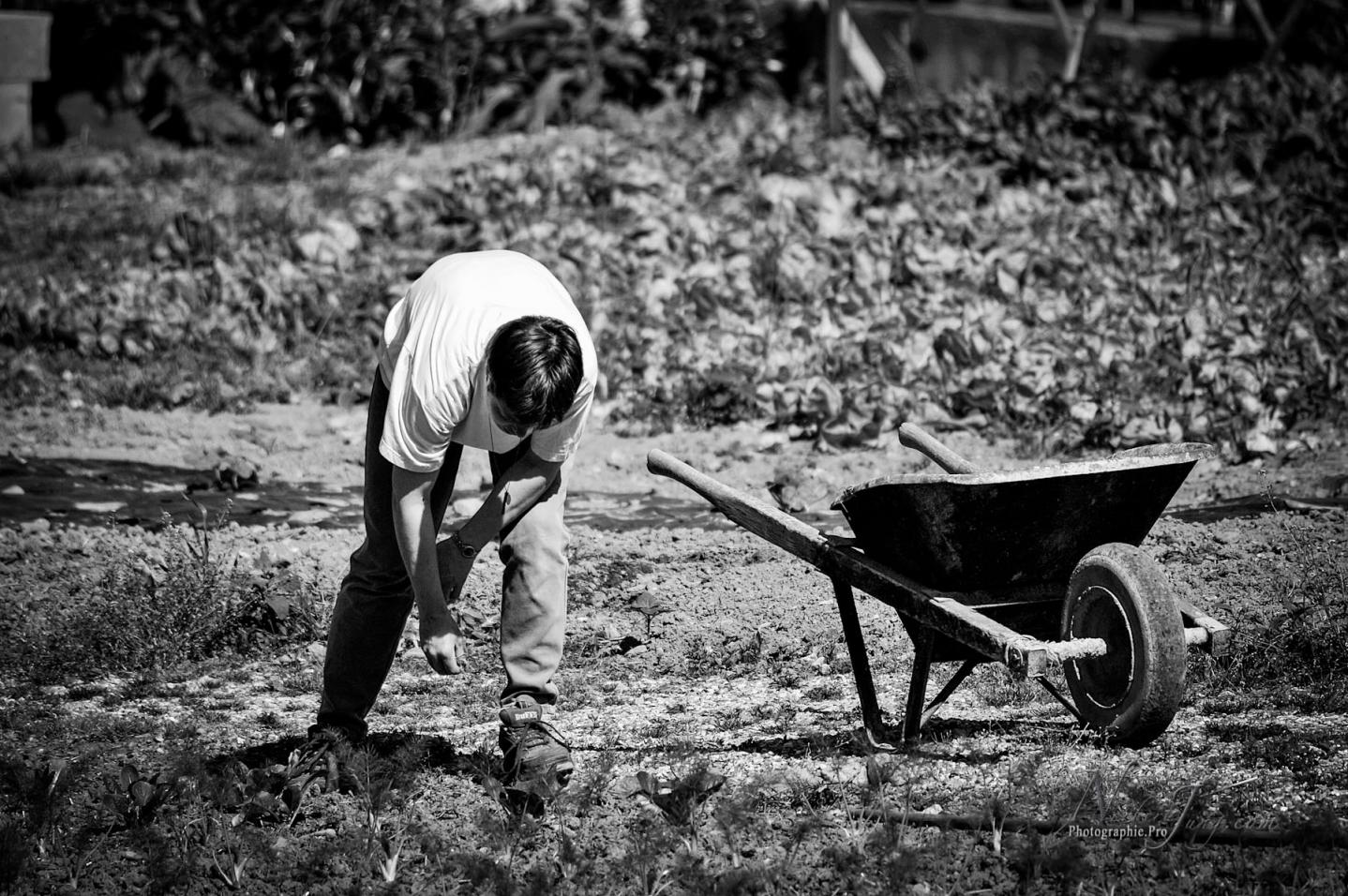 rencontre assise jean paul ii
