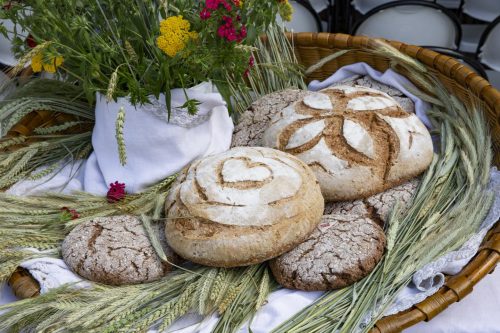 Ordinations Eucharistein 16.06.2018 302