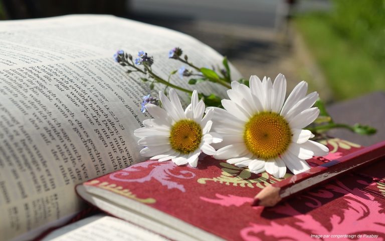 3 résolutions tirées du livre des Proverbes